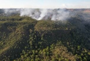 Incêndio atinge divisa do Santuário de Elefantes em Mato Grosso