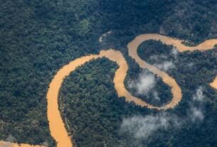 Noruega anuncia mais R$ 245 milhões para o Fundo Amazônia
