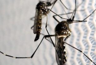 Rio de Janeiro registra caso de dengue tipo 4