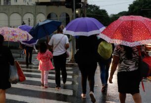 Chuvas em SP provocam alagamentos e queda de árvores