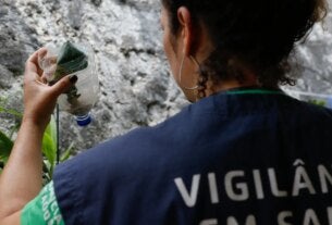 Dengue e chikungunya levam Minas Gerais a decretar emergência