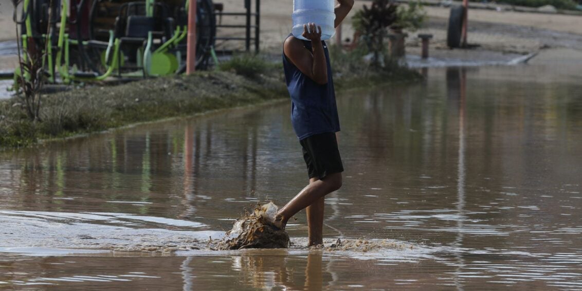 Especialistas alertam sobre risco de doenças trazidas por chuva forte