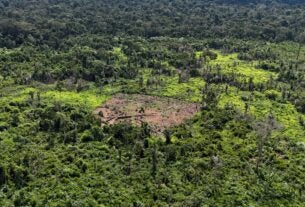 Indígenas karipuna denunciam aumento de invasores em sua terra