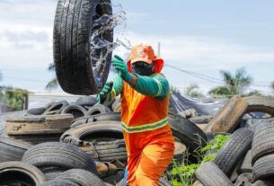 Militares recebem treinamento para combate à dengue no DF