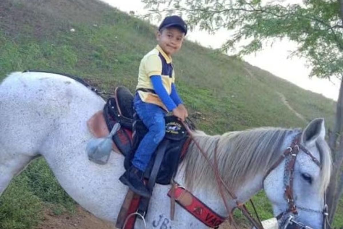 menino de 4 anos morre arrastado por cavalo ao ficar preso nas redeas