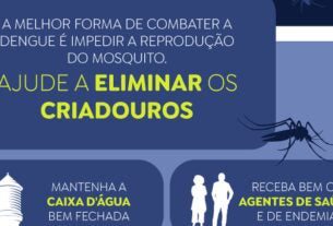 Casos prováveis de dengue se aproximam de 400 mil no país em 2024