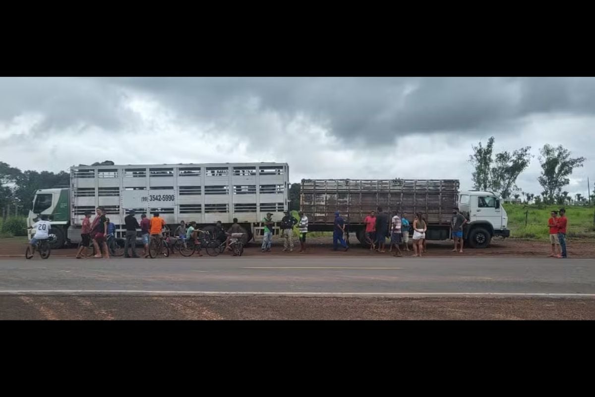 idoso prensado entre dois caminhões