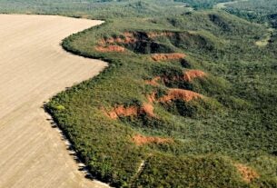 Cerrado tem alta de 19% nos alertas de desmatamento em fevereiro