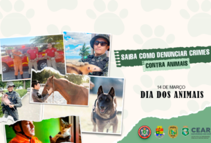 Dia Nacional do Animais: Forças de Segurança do Ceará atuam em situações de risco e resgate de animais