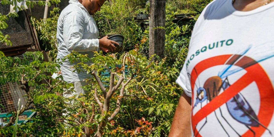 Prefeitura de SP decreta emergência por alto número de casos de dengue