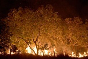 Roraima tem 45% do total de focos de queimadas do país em fevereiro