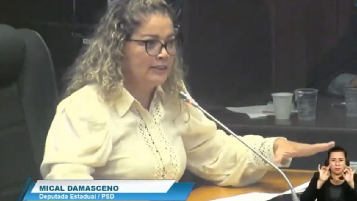 Deputada do Maranhão Propõe Sessão Só de Macho e Gera Indignação
