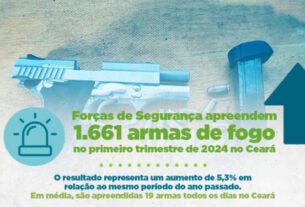 Forças de Segurança apreendem 1.661 armas de fogo no primeiro trimestre de 2024 no Ceará