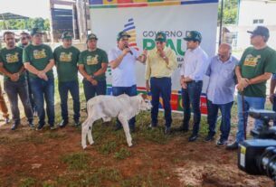 Piauí inicia campanha contra febre aftosa