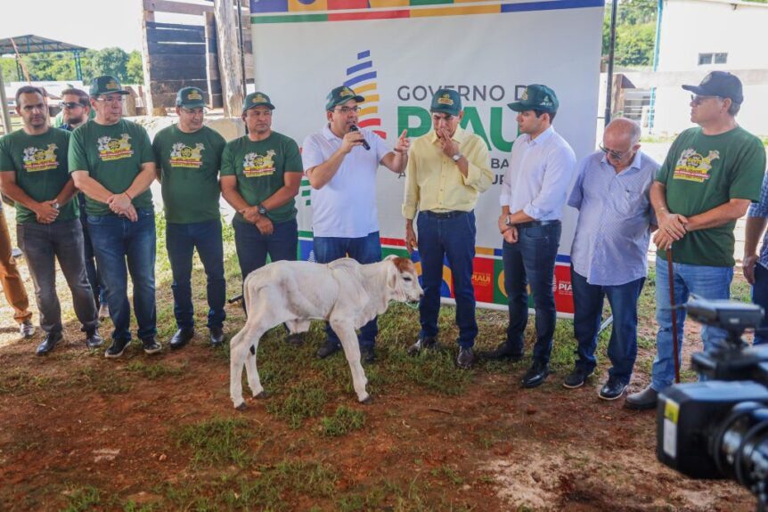 Piauí inicia campanha contra febre aftosa