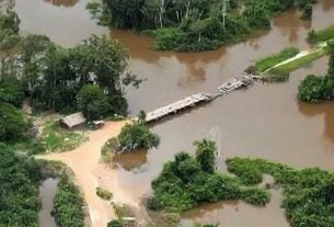 Polícia Federal destrói ponte de acesso à terra indígena no Pará