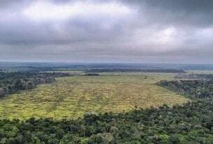 Prorrogada adesão a programa de combate ao desmatamento na Amazônia