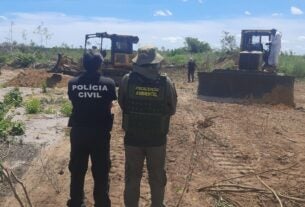 MapBiomas: Piauí foi único estado brasileiro a reduzir desmatamento no cerrado no ano passado