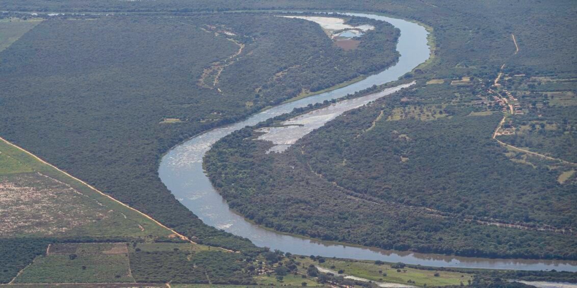 Mata Atlântica: desmatamento cai em áreas contínuas entre 2022 e 2023