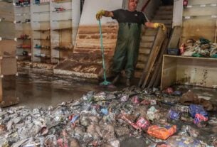 Nísia Trindade nega colapso da saúde no Rio Grande do Sul