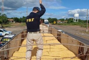 PRF em Picos-PI realiza a maior apreensão de cocaína do ano no Brasil — Polícia Rodoviária Federal