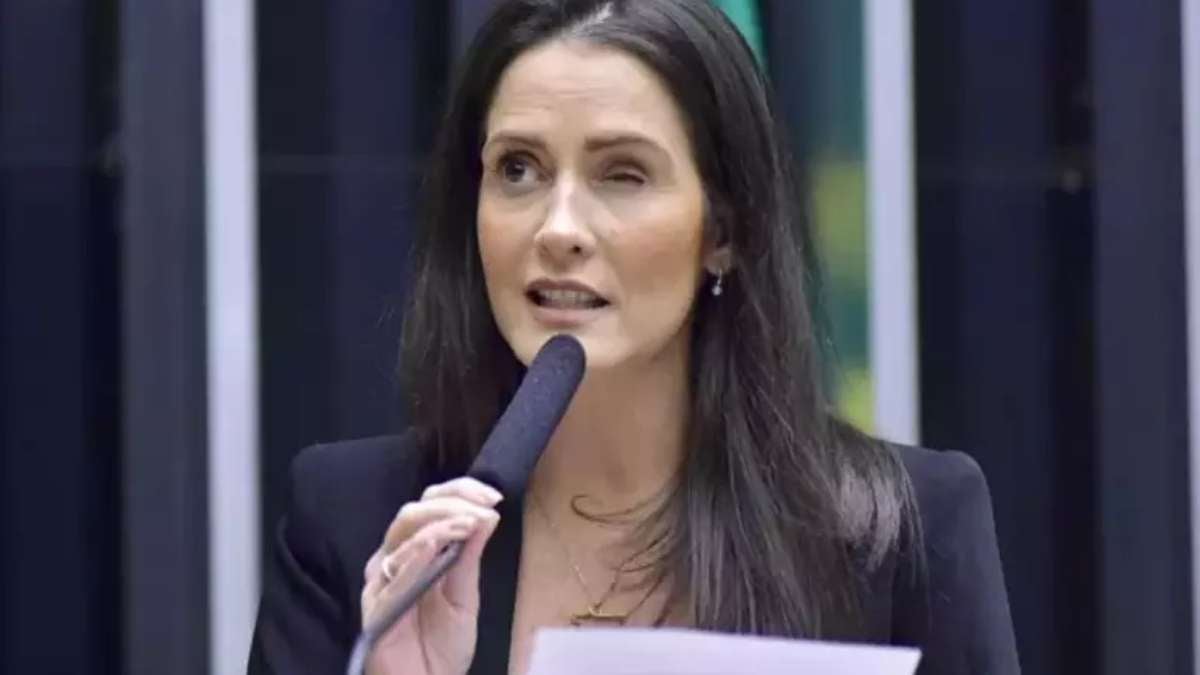 deputada federal amália barros