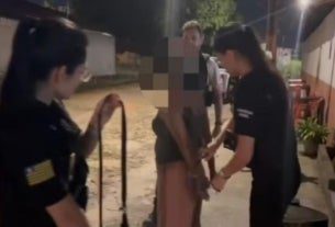 dona de casa de prostituição