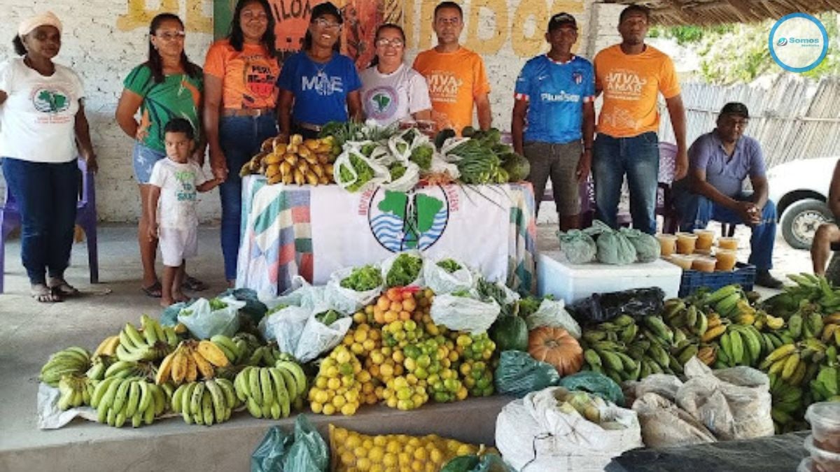 Assistência Social beneficia comunidades de Amarante com entrega de alimentos do PAA