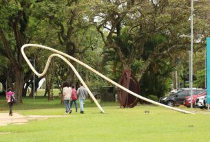 Mais de 55% dos alunos que ingressam na USP são de escolas públicas