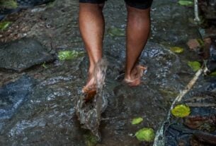 Número de mortes por leptospirose chega a 15 no Rio Grande do Sul