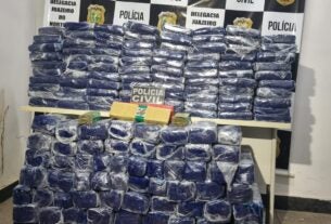 Polícia Civil apreende 379 tabletes de maconha que tinha como destino à Região do Cariri