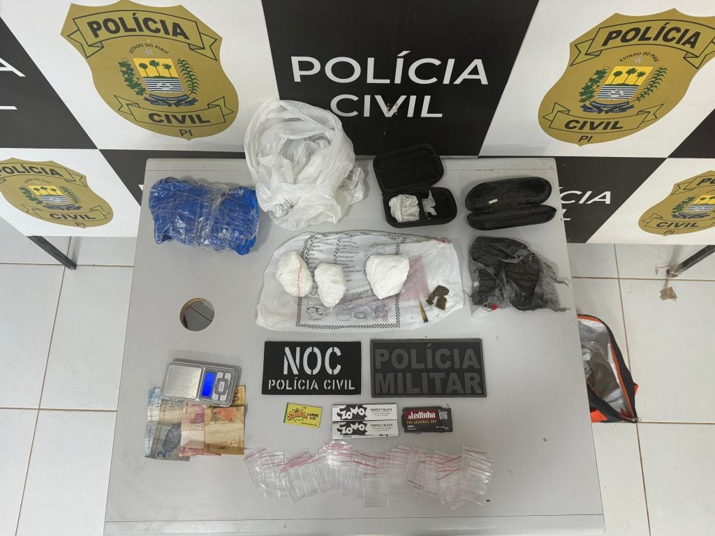 Polícia Civil cumpre mandado de prisão contra suspeito de tráfico de drogas em Ribeiro Gonçalves