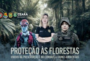 Proteção às Florestas: Forças de Segurança do Ceará atuam na preservação e no combate a crimes ambientais