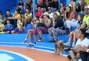 Torcida diz que futebol feminino precisa melhorar para chegar ao ouro