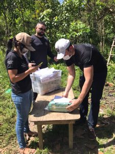 Polícia Civil incinera 20kg de drogas apreendidas em Carutapera