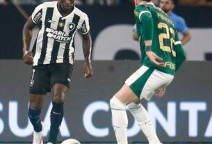 Botafogo recebe Palmeiras no primeiro jogo das oitavas da Libertadores