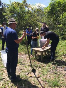 Polícia Civil incinera 20kg de drogas apreendidas em Carutapera