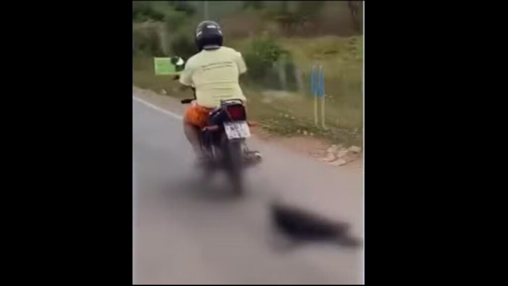 Homem é preso em Lagoa da Pedra-MA após arrastar cachorro amarrado em moto