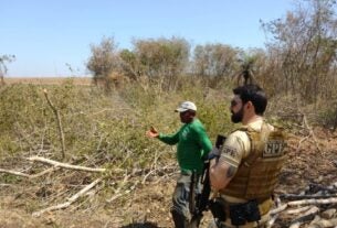 OPERAÇÃO PROTETOR DOS BIOMAS: POLÍCIA CIVIL REALIZA VISTORIAS EM ÁREAS DE PRESERVAÇÃO AMBIENTAL NO INTERIOR DO MARANHÃO