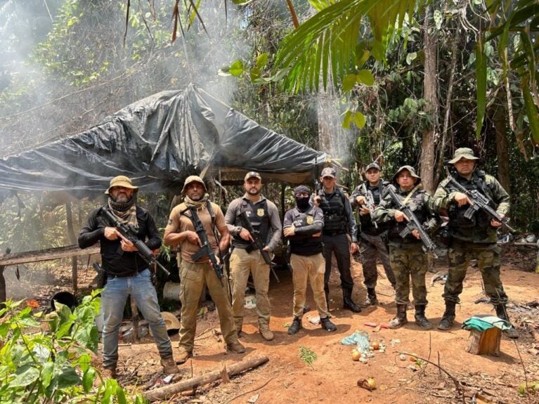 Forças de Segurança localizam 22 mil pés de maconha em fazenda no Maranhão