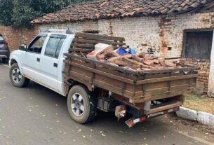 OPERAÇÃO PROTETOR DOS BIOMAS: POLÍCIA CIVIL APREENDE MADEIRA NATIVA TRANSPORTADA ILEGALMENTE EM PASTOS BONS