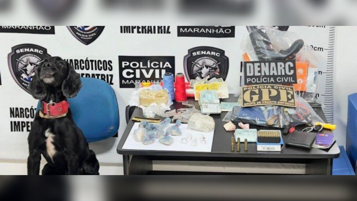 Família é alvo de operação policial por suspeita de tráfico de drogas em Imperatriz