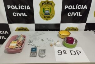 Polícia Civil prende homem em flagrante por tráfico de drogas na zona norte de Teresina