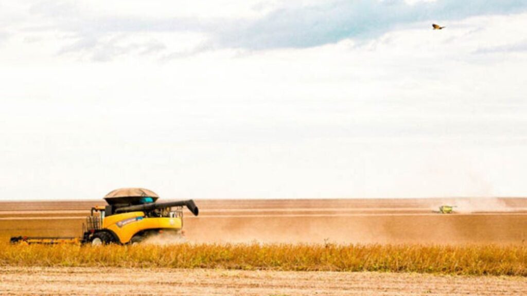 Produção agrícola do Piauí sofre queda em 2023