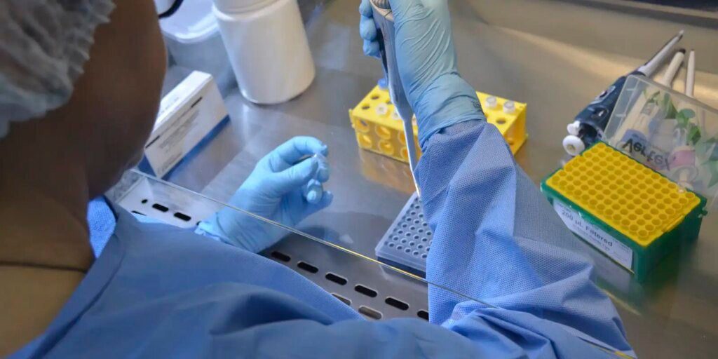 Nova variante do vírus Sars-CoV-2 é identificada em três estados