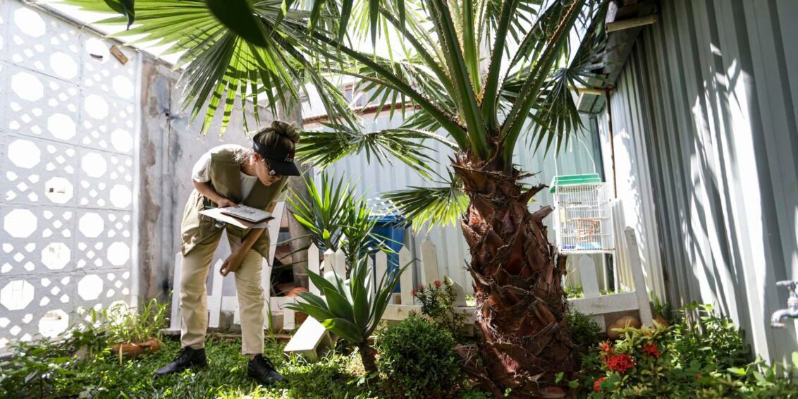 Prevenção de dengue deve ir além de mensagens sobre hábitos e cuidados