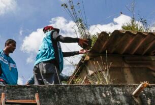 DF promove dia de combate à dengue para eliminar focos do Aedes aegypt