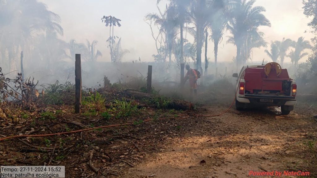 OPERAÇÃO PROTETOR DO BIOMA:  POLÍCIA CIVIL PRENDE SUSPEITOS POR CRIME AMBIENTAL  EM VILA NOVA DOS MARTÍRIOS