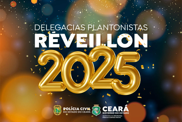 Réveillon 2025: confira os horários das delegacias plantonistas da Polícia Civil