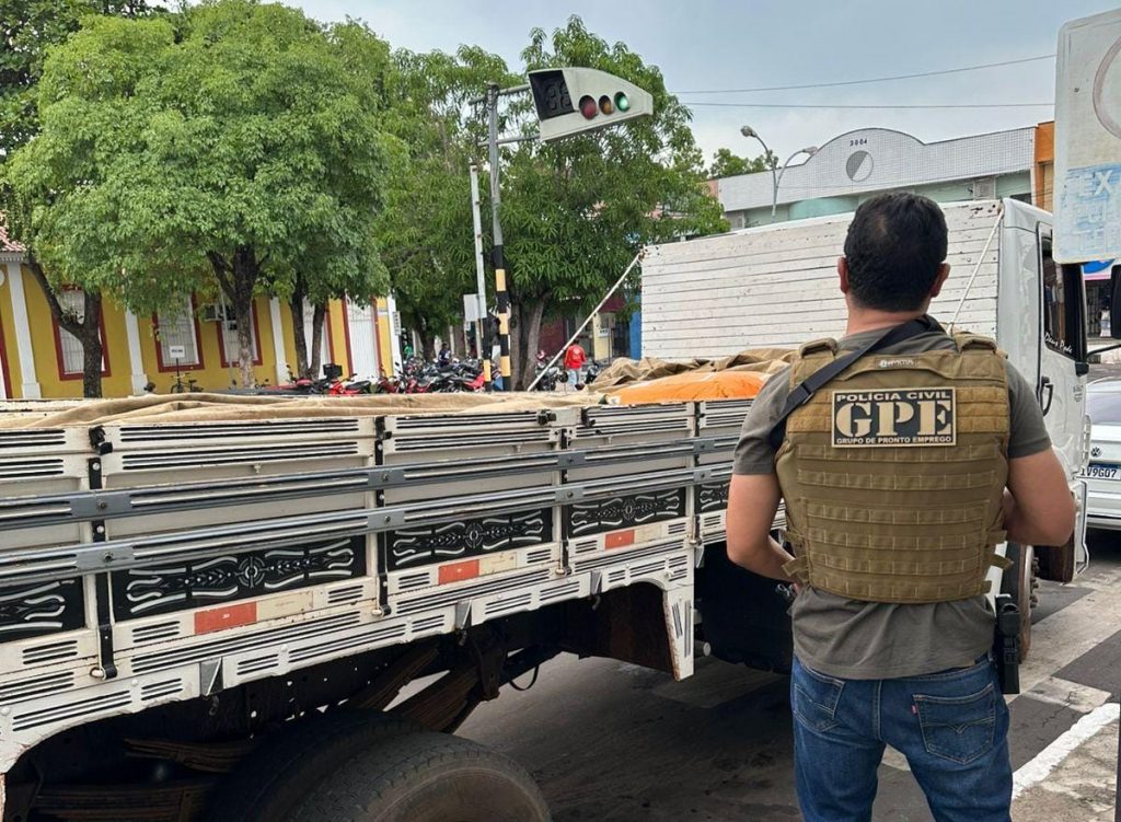 POLÍCIA CIVIL DO MARANHÃO APREENDE CARGA DE SEMENTES FALSIFICADAS EM CAXIAS